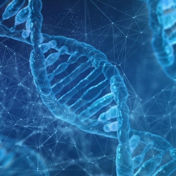 Quali sono i tumori ereditari? Ecco a quali segnali fare attenzione per valutare la predisposizione genetica