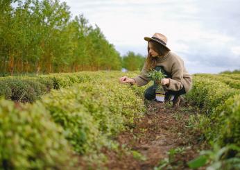 Green Jobs: quali sono i lavori sostenibili che salveranno il pianeta