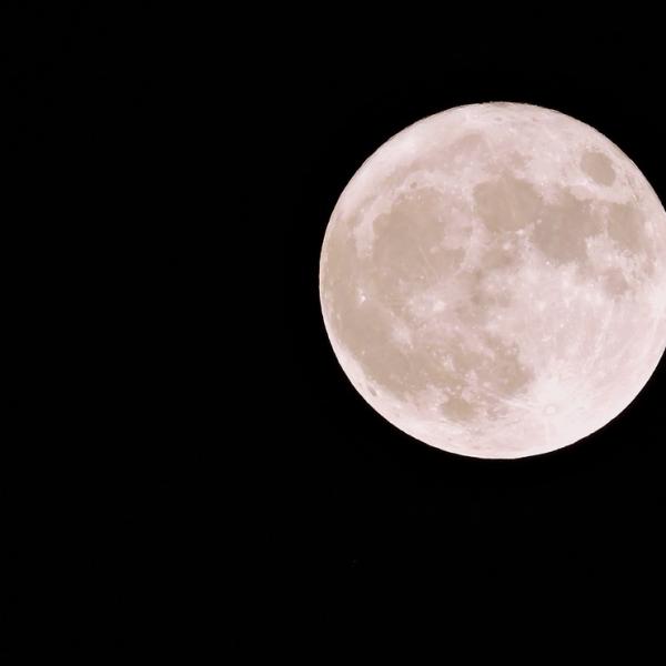 Cos’è la Luna del Castoro 2023: cos’è, quando vederla e perché si chiama così