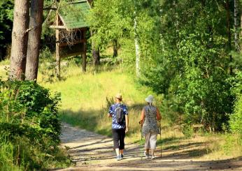 Pensione 2023: chi lascerà il lavoro con solo 41 anni di contributi…