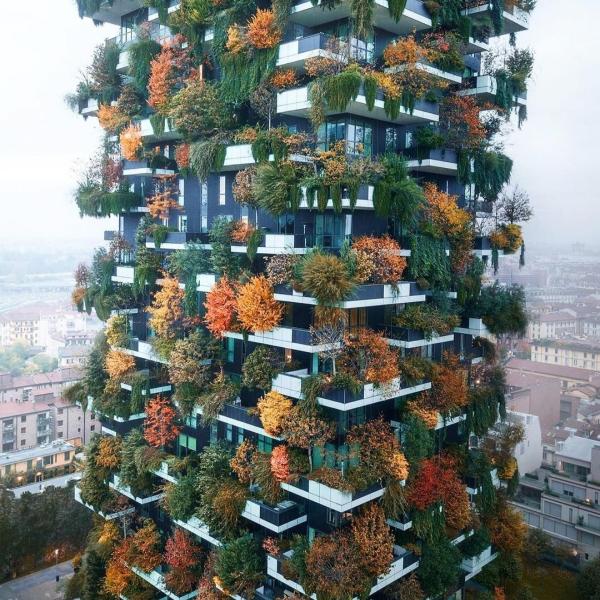 Quali sono le caratteristiche del Bosco Verticale? Ecco come cambia a seconda delle stagioni