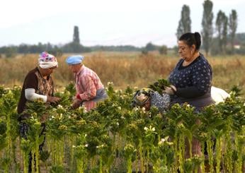 OTD e OTI: rilevazione delle retribuzioni dei lavoratori del settor…