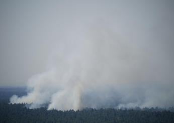 Germania: in fiamme il bosco Grunewald di Berlino