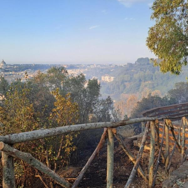 Roma, incendio a Monte Mario: quali sono le cause? Vigili del fuoco al lavoro tutta la notte: spegnimento ancora in corso | FOTO E VIDEO