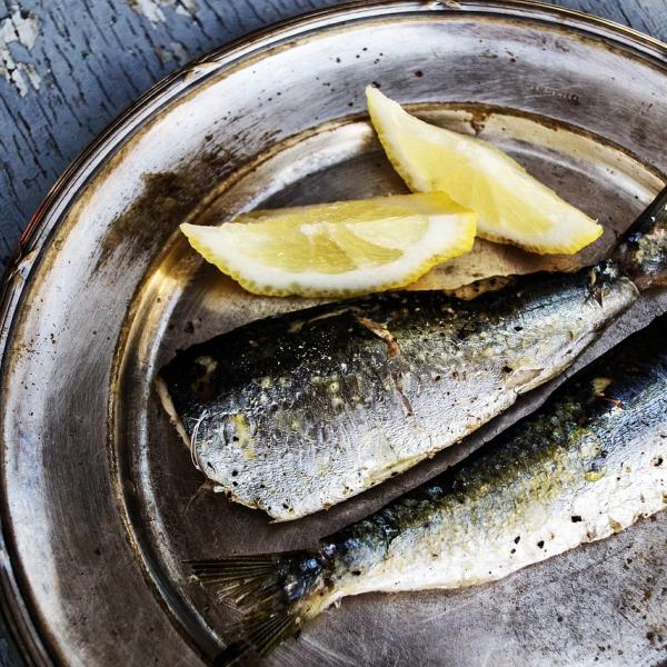 Sarde: ricette veloci, ma ricche di gusto