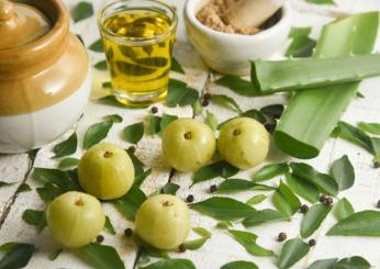 Olio di neem: l’alleato per pelle e capelli