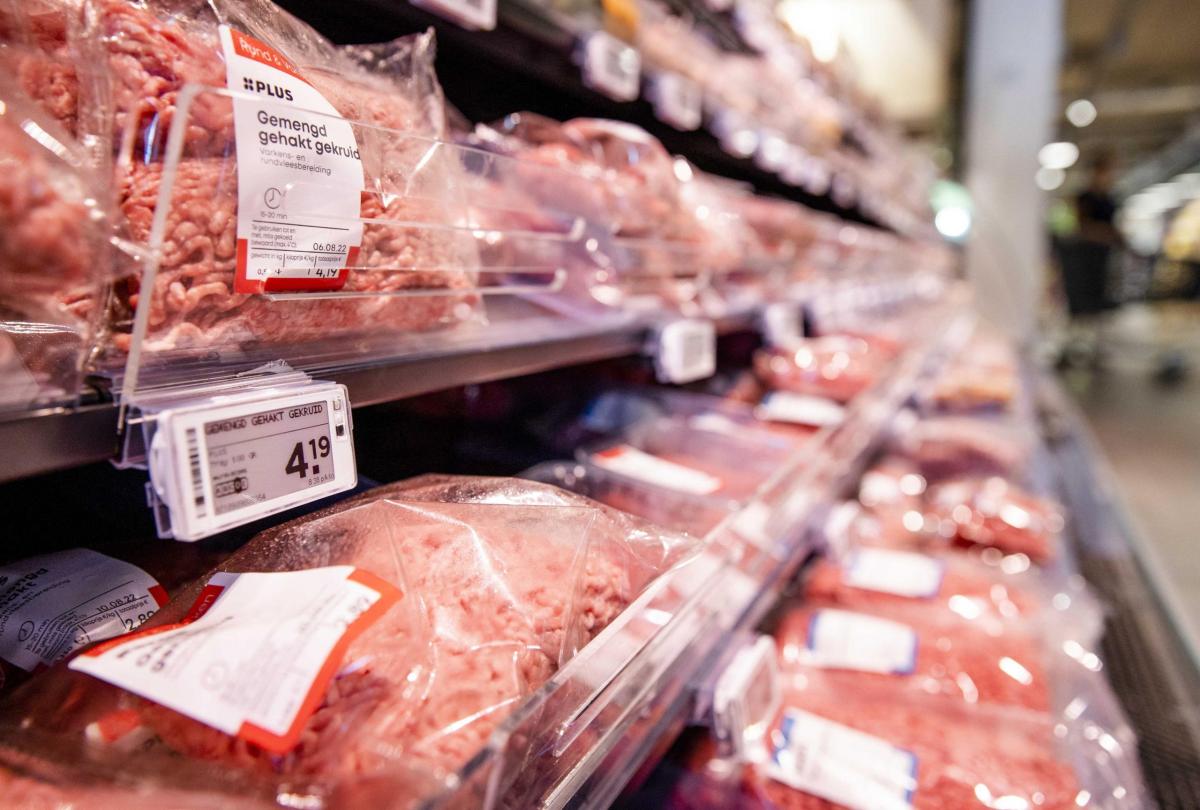 Olanda, ad Haarlem vietata la pubblicità sulla carne: obiettivo rid…