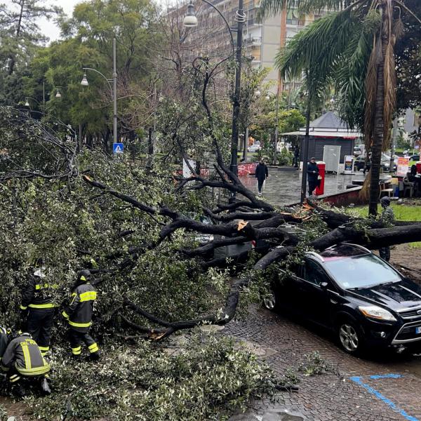 Vento forte a Napoli: spezzata Croce a Cariati e altri danni, alberi caduti