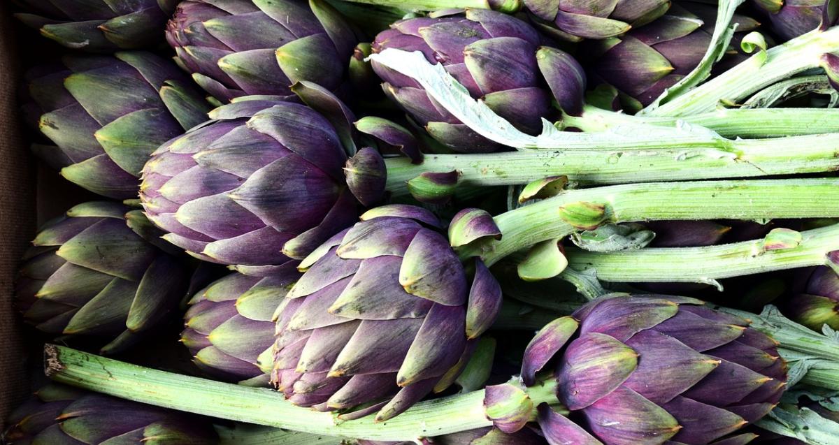 Come cucinare i carciofi: curiosità e ricette