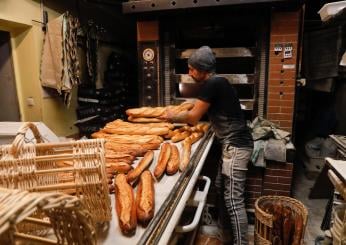 Arezzo, sulle buste del pane la citazione di Mussolini: le panetter…