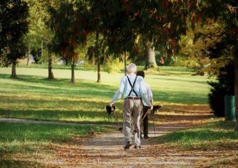 Chi può andare in pensione da 3 a 7 anni in anticipo: opportunità i…