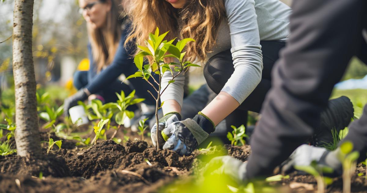 Quante calorie si bruciano facendo giardinaggio: benefici del nuovo allenamento casalingo