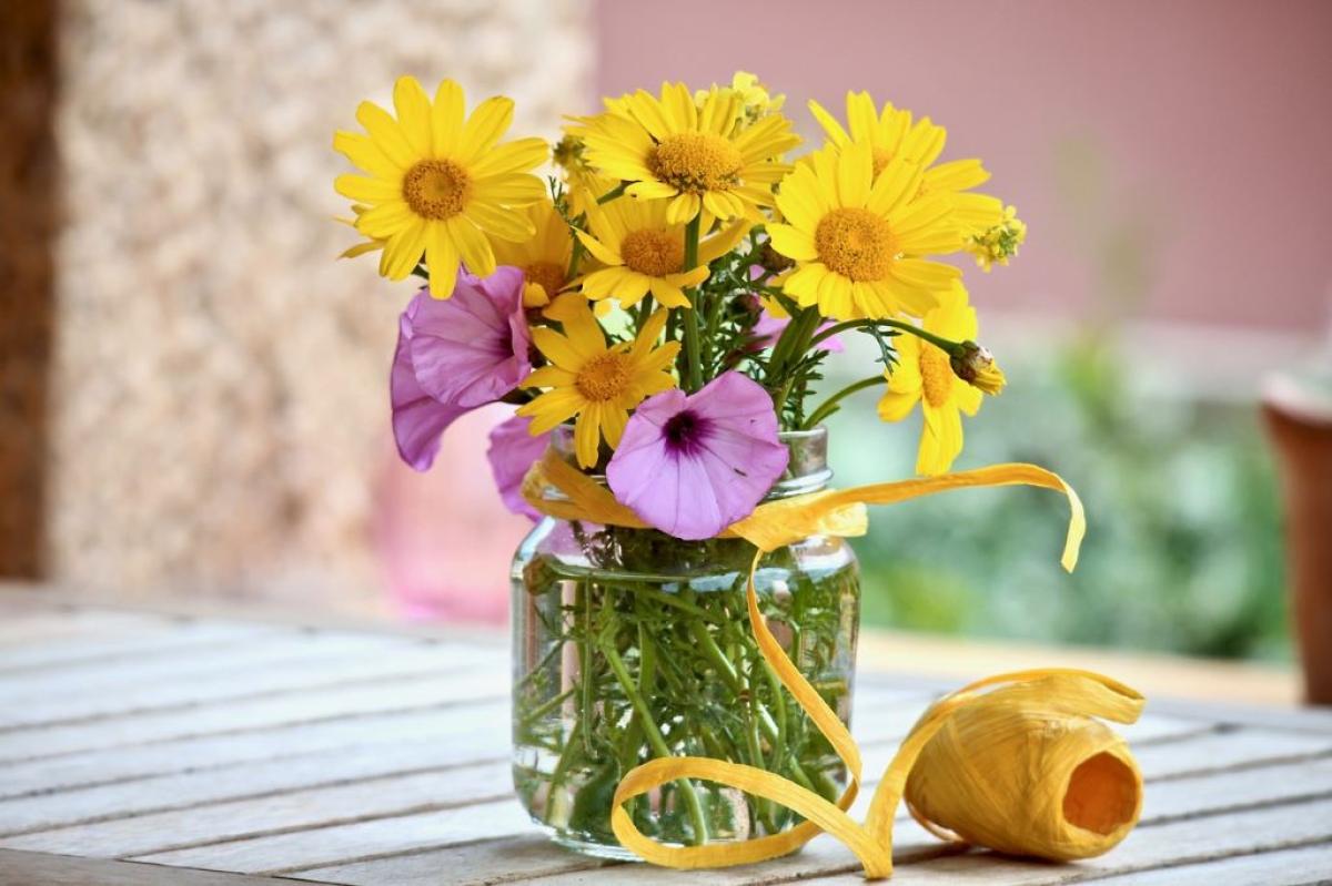 Bonus giardini e terrazzi: cos’è, come funziona, a chi spetta