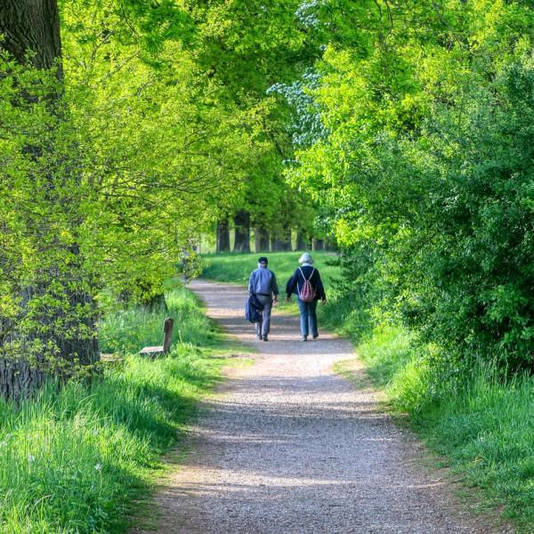 Pensione anticipata flessibile a 62 anni: con una maxi sforbiciata all’assegno? Ecco quanto si può perde in pensione con Quota 103