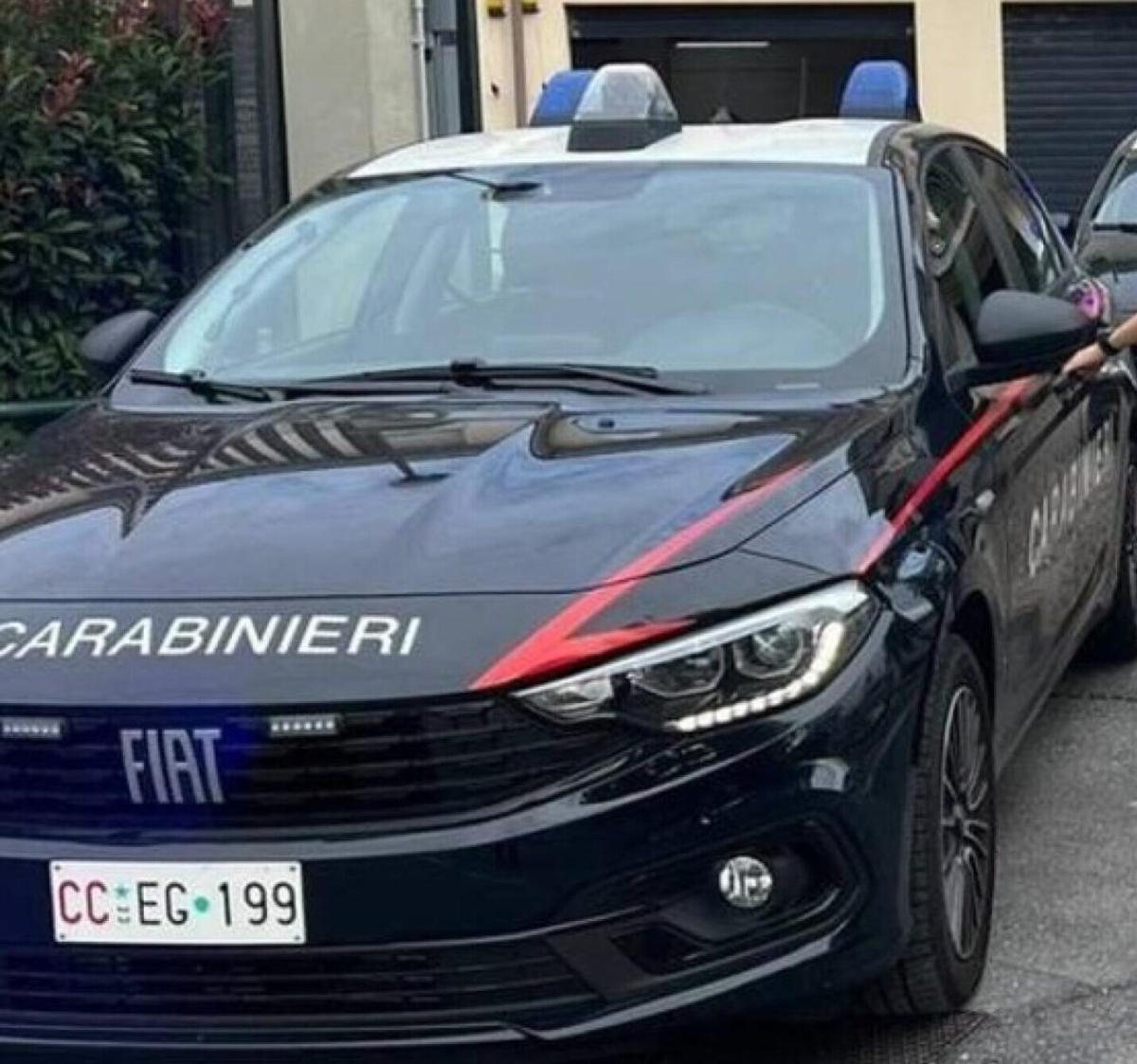 Camorra, latitante Luigi Cacciapuoti arrestato grazie ad un barboncino