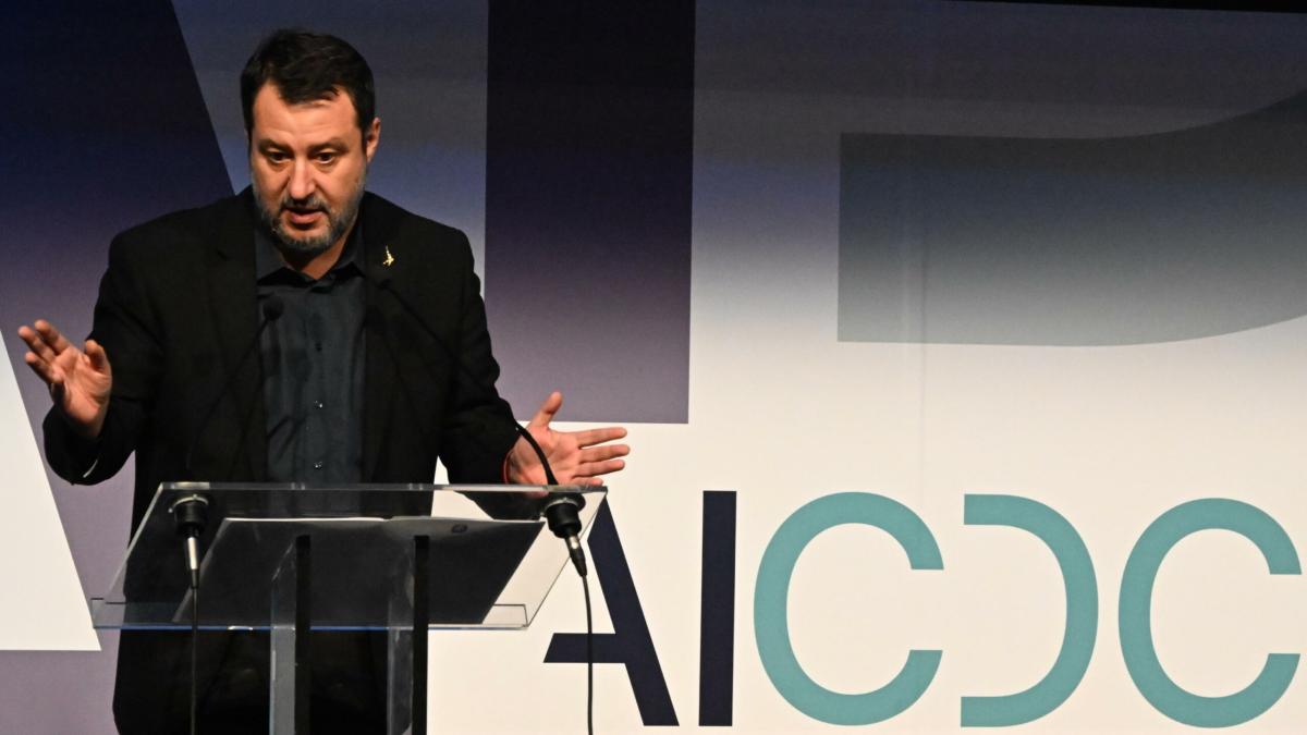 Salvini critica gli attivisti di Extinction Rebellion: “Questi imbe…