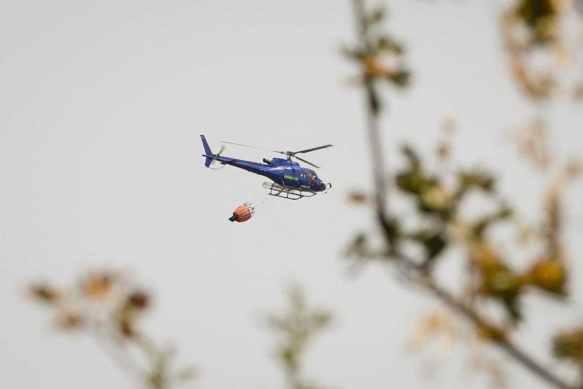 Ragusa, brucia la campagna tra Sampieri e Scicli: le fiamme minacci…