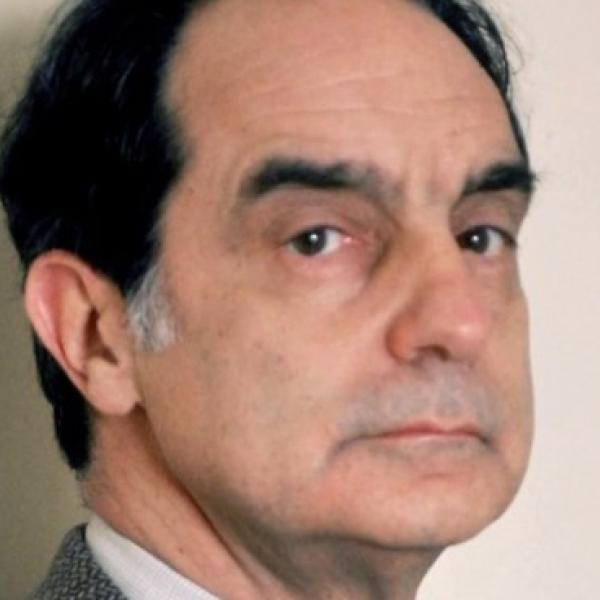 Travolti dalle immagini nella Lezione di Italo Calvino