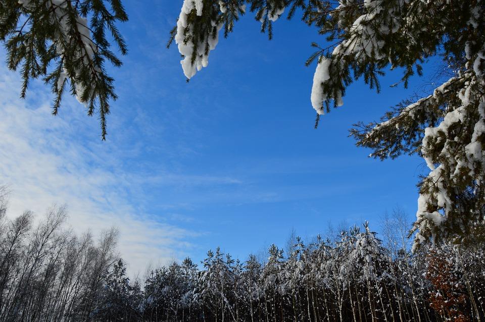 Siccità, Coldiretti: “Inverno con +1,2 gradi rispetto a media”