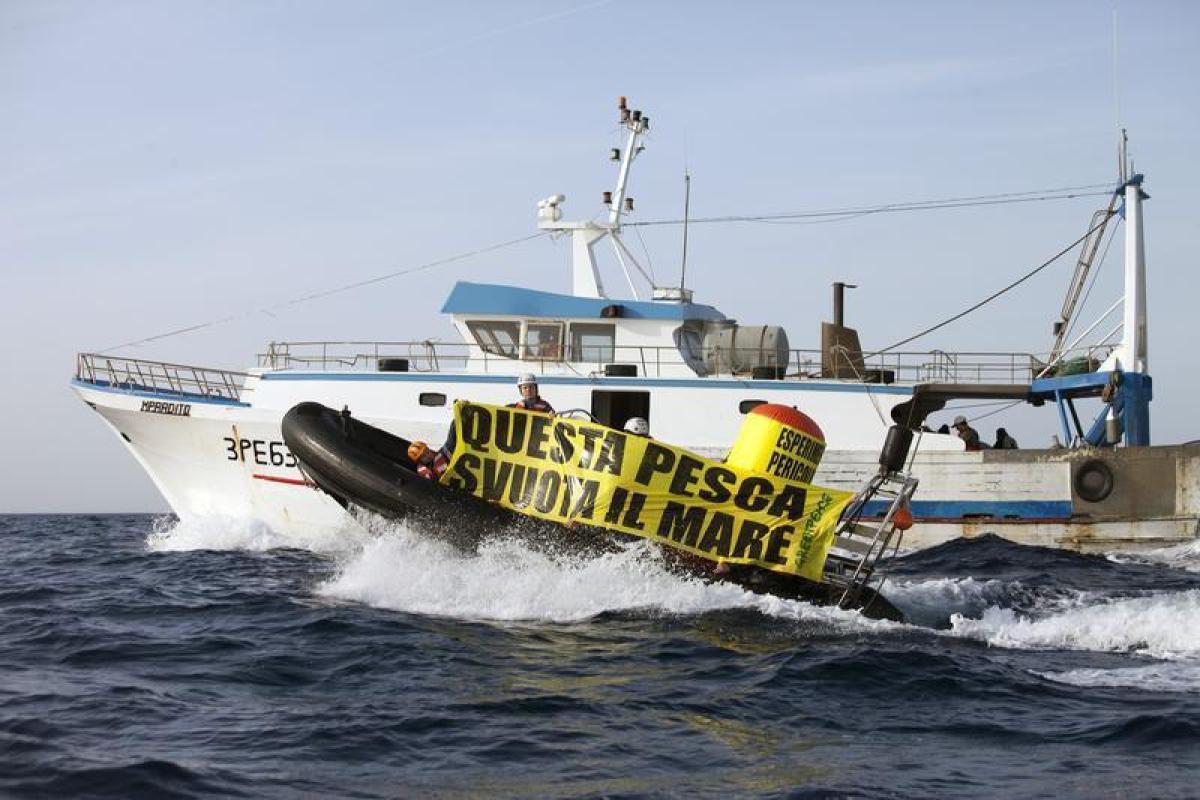 Diktat dell’Europa, mai più pesca a strascico: insorgono tutti i pe…