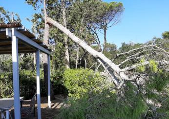 Tromba d’aria tra Sabaudia e Terracina (Lt), Coldiretti: “20 milioni di danni”