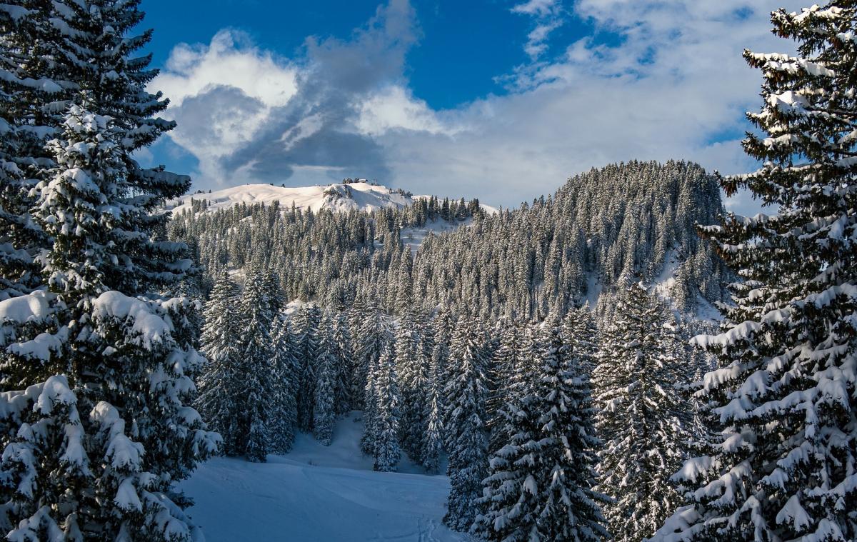 Boom di prenotazioni in montagna, il turismo riparte