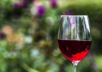 Merano Wine Festival 2024: date, orari, biglietti, prezzi e programma