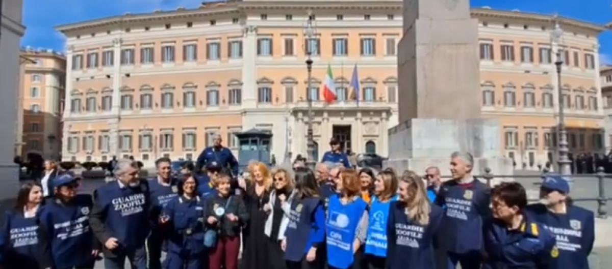 Reati contro gli animali, associazioni a Montecitorio. Michela Brambilla: “La mia proposta di legge inasprisce le pene” | VIDEO