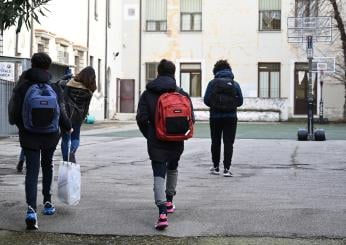 Firenze, la procura apre un fascicolo sui fatti del liceo Michelangiolo: ipotesi violenza privata aggravata