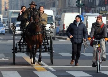 Palermo, incidente a via Cavour: un cavallo è stramazzato a terra