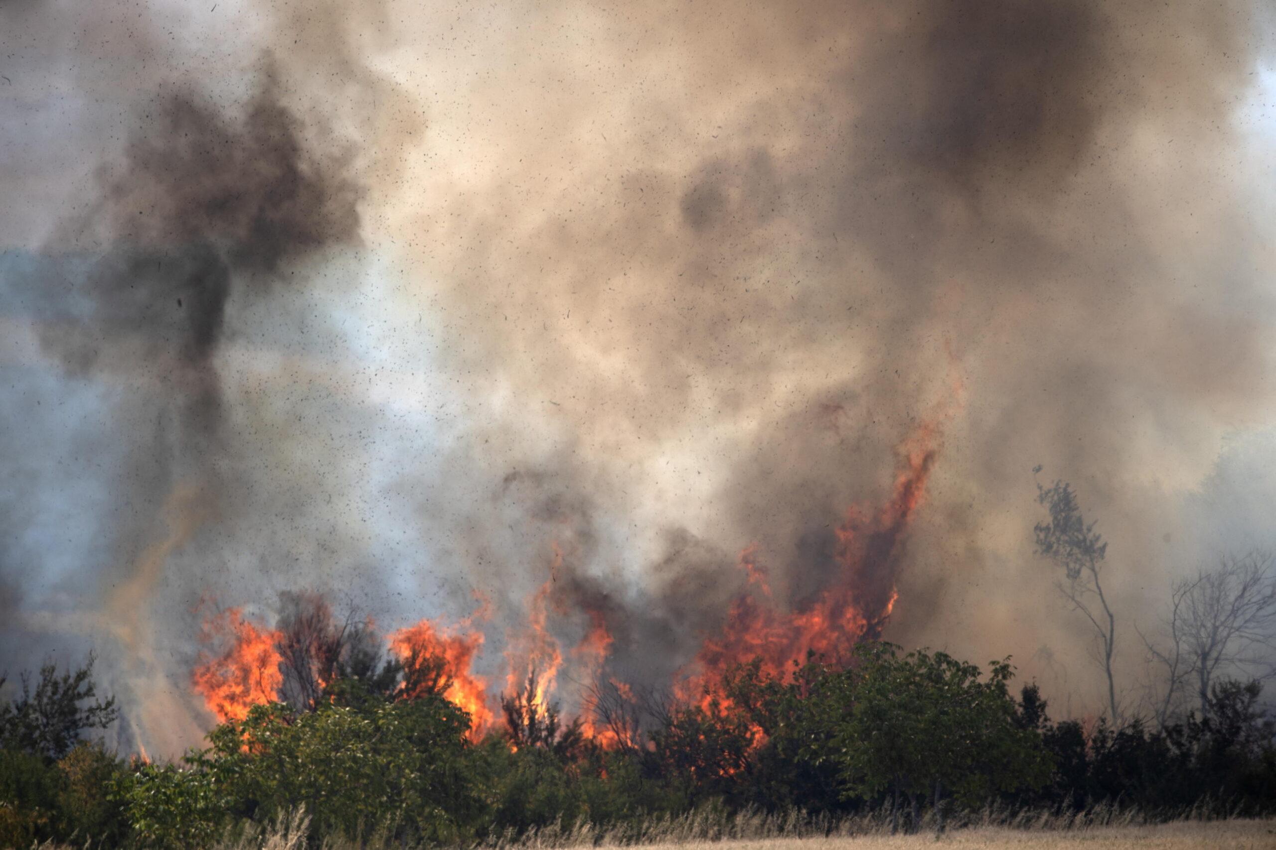 Marina di Pulsano (Taranto) devastata da un maxi incendio: piromane trasportato in carcere. Cosa è successo lo scorso 30 luglio 2024?