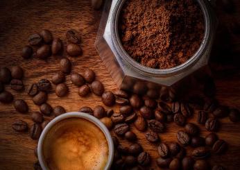 I vantaggi di utilizzare i fondi di caffè come concime: i benefici del riciclo domestico per la sostenibilità ambientale