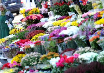 Festa dei morti, perché i crisantemi sono i fiori più acquistati dagli italiani per abbellire le tombe