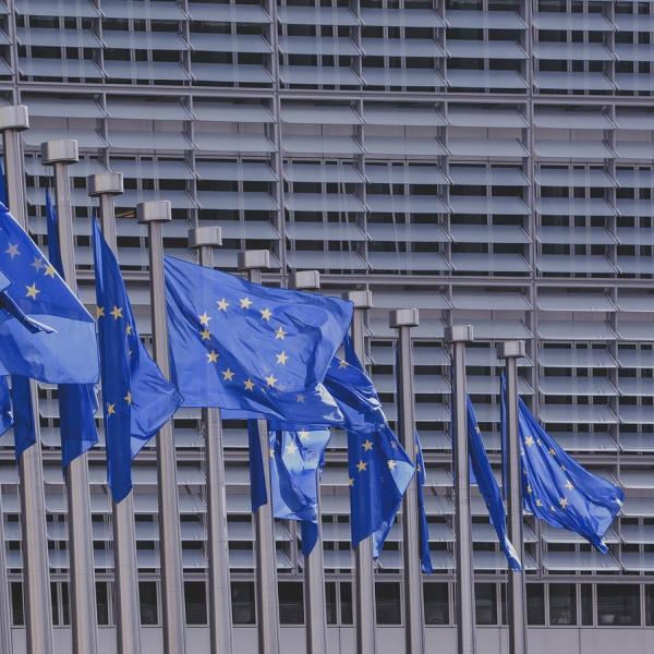 Come andarono le elezioni europee 2019 e cosa accadde subito dopo