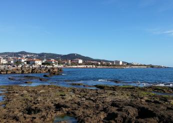 Cosa c’è da vedere vicino al porto di Livorno: le zone più belle