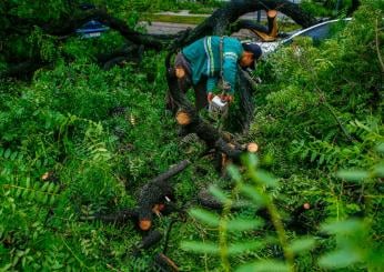 Bergamo, donna travolta da un albero a Pontida: è in gravi condizioni