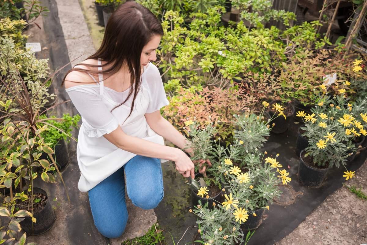 Come funziona il giardino terapeutico? Una tecnica che migliora l’umore senza farmaci