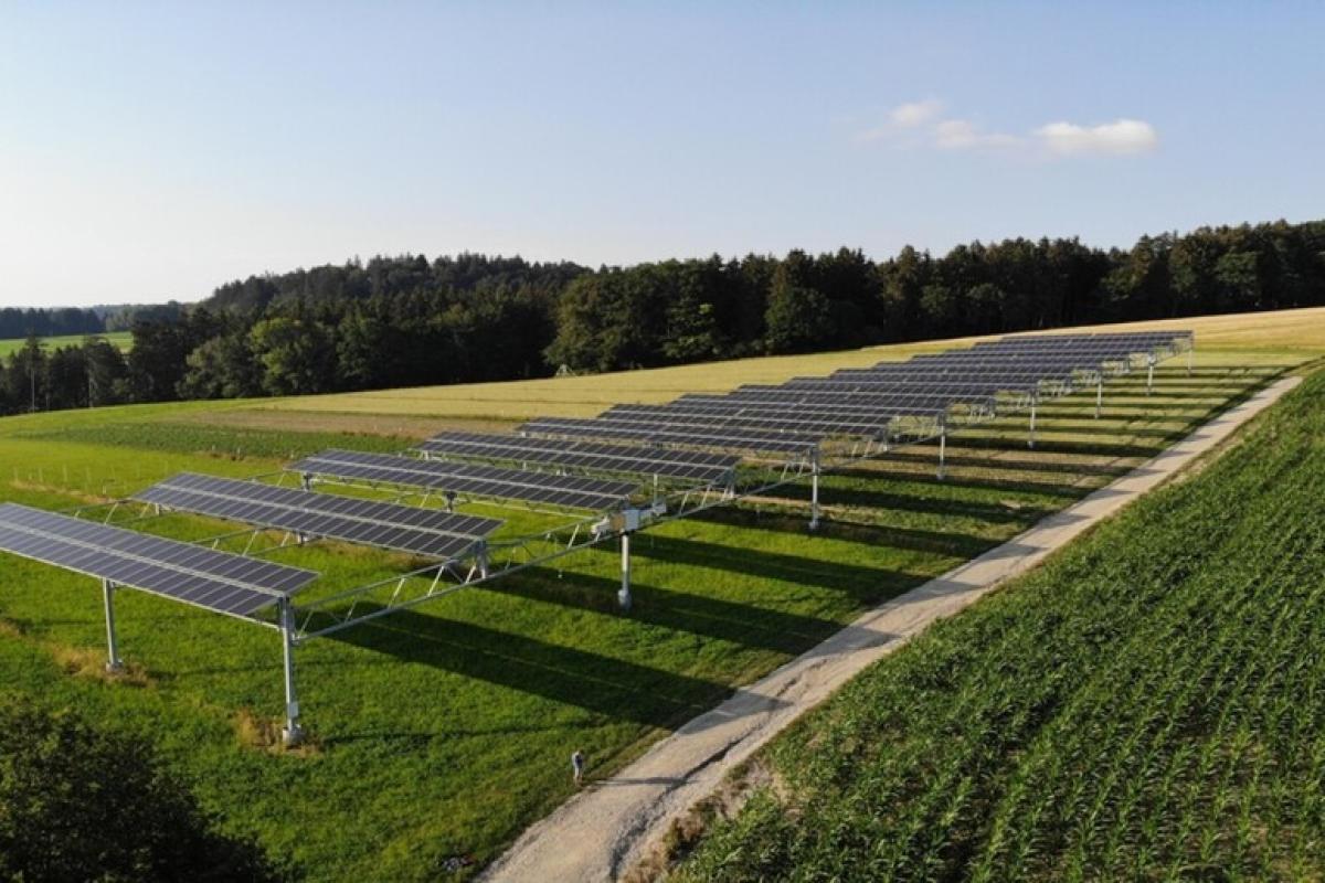 Agrivoltaico, produzione di energia e sostenibilità alimentare