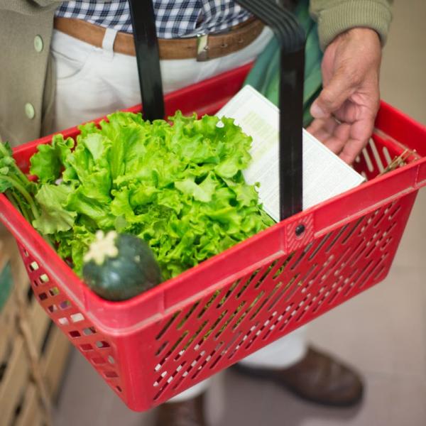 Reddito alimentare, domande fino al 31 marzo 2024: dove si svolge la prima fase