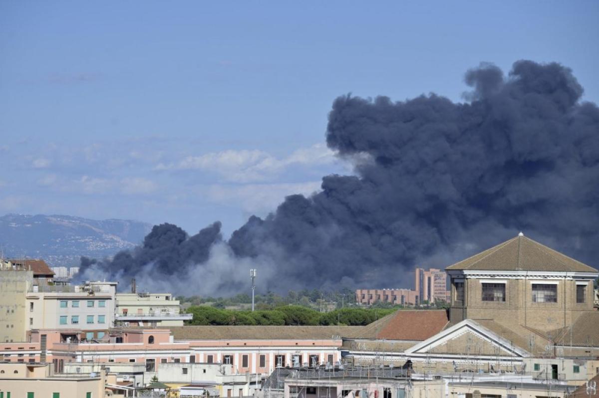 Incendio a Roma, in fiamme la pineta di Castel Fusano