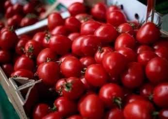 Innovazione in cucina con i pomodorini semi dry