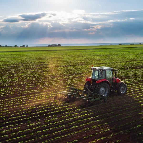 Diversificazione agricola: 5 vantaggi per la biodiversità e la sostenibilità ambientale