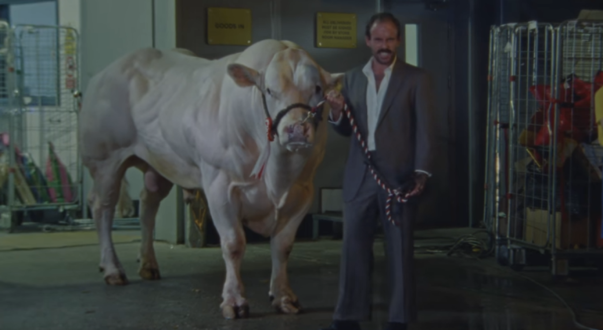 Idles, Gift Horse: video ufficiale, testo e traduzione