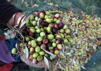 Hub enogastronomici: quasi il 70% degli italiani li vuole