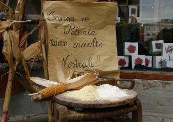 Come si fa la quiche di polenta