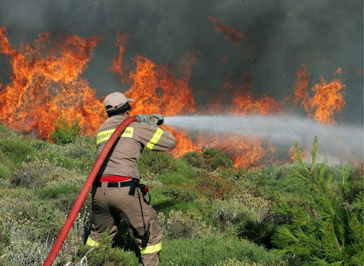 Incendio in Grecia oggi 17 luglio 2023, fiamme a nord di Corinto: e…