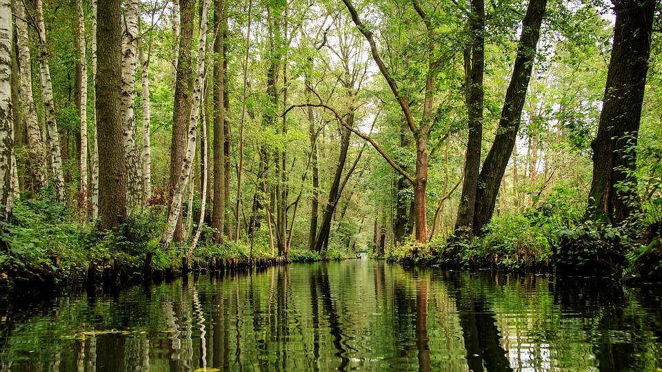 Unesco, il 3 novembre sarà la Giornata Internazionale delle Riserve della Biosfera