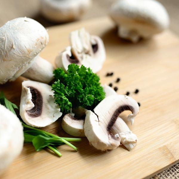 Come vengono utilizzati i funghi dall’uomo? Ecco perché dalla gastronomia alla medicina vale la pena conoscere i benefici