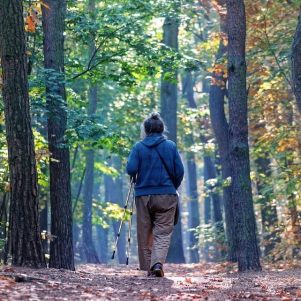 L’INPS chiede più contributi per la pensione a 62 anni di età! Ecco cosa prevede la circolare n. 27