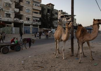 Guerra a Gaza, Netanyahu: “Nonostante il dolore per i morti raggiungeremo gli obiettivi”. Erdogan a Biden: “Viziate Israele, ci infastidisce”